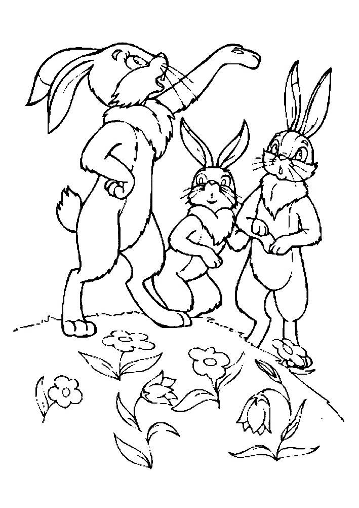 Раскраски для детей и взрослых хорошего качестваРаскраска заяц хвастун