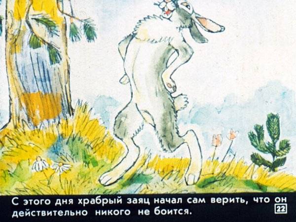 Заяц храбрый рисунок 