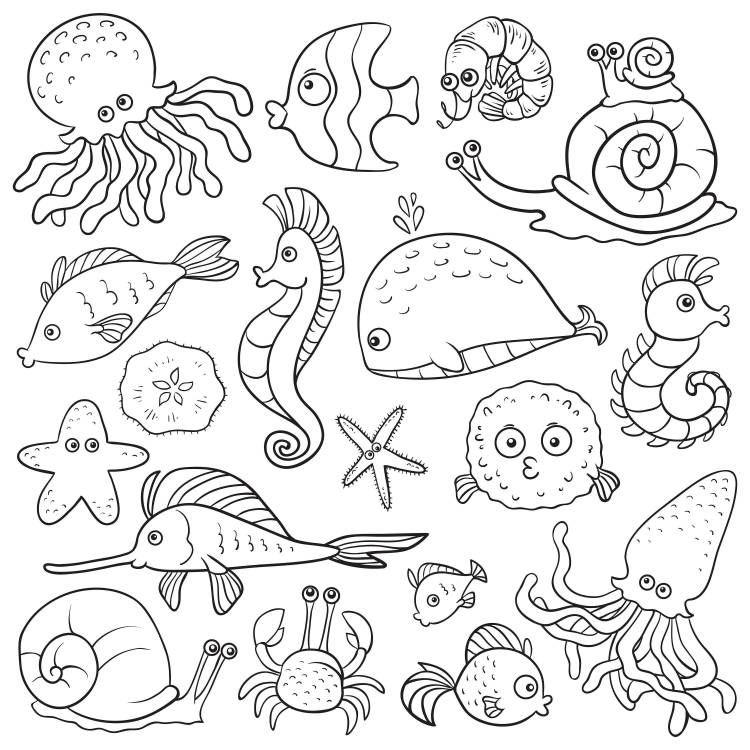 Рисунки морские животные