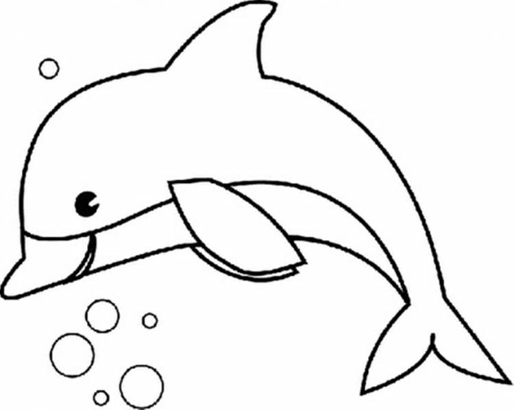 Рисунки для срисовки морские животные 
