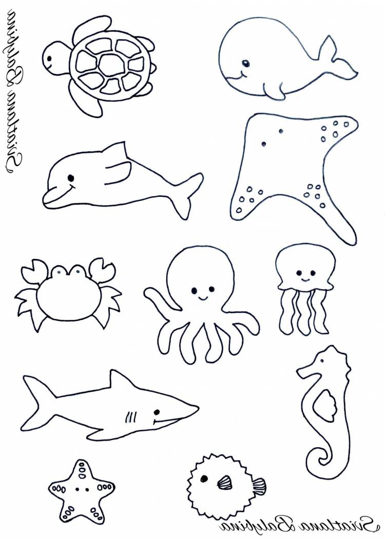 Рисунки морских обитателей для детей