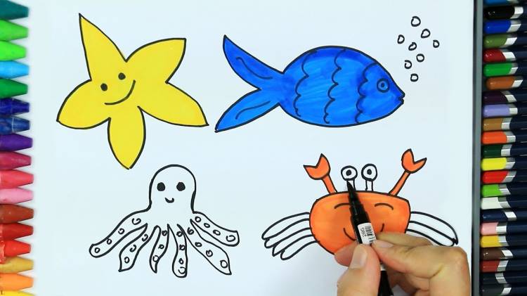 Как нарисовать морских животных