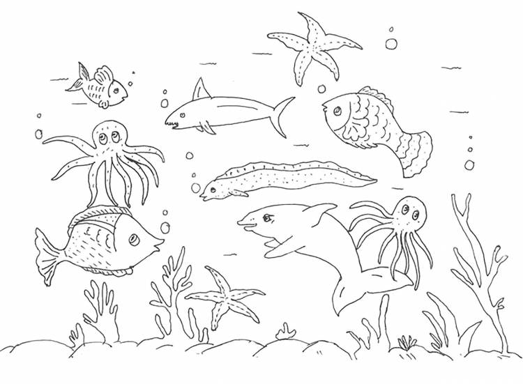 Подводный мир рисунок карандашом
