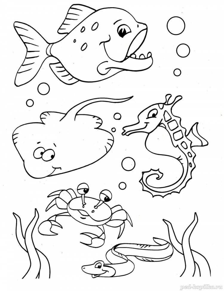 Морские животные рисунки