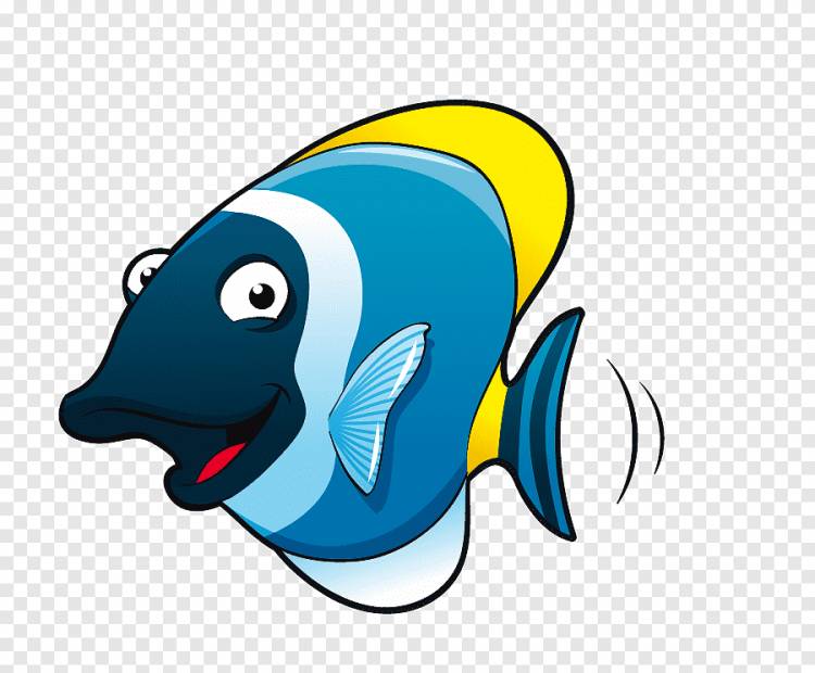 Медузы мультфильм животных рисунок, мультфильм морские животные рыбы, мультипликационный персонаж, синий png