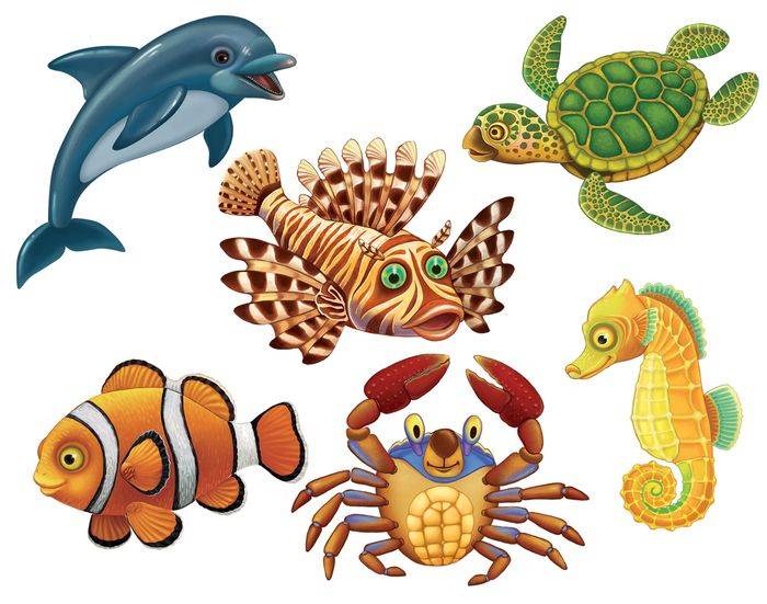 Морские животные картинки с названиями для детей