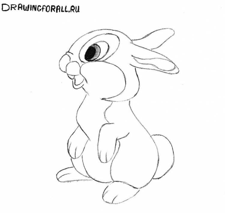 Как нарисовать зайца
