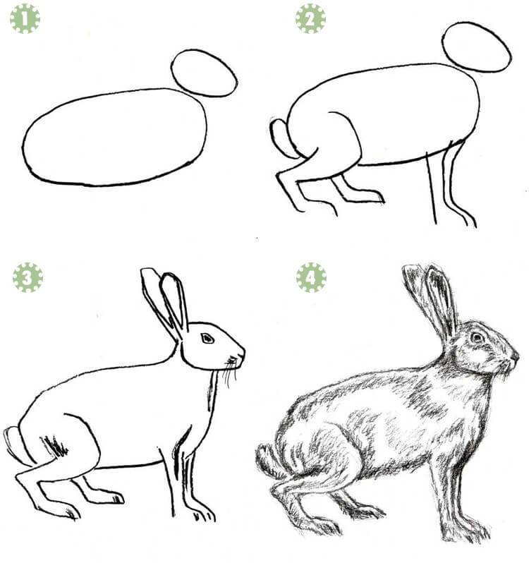 Как нарисовать зайца карандашом поэтапно легко и красиво