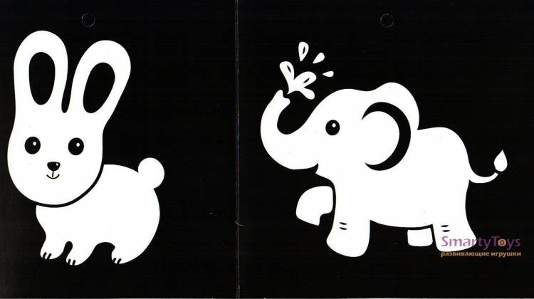 Черно-белые картинки для малышей Животные книжка-гармошка Феникс-Премьер