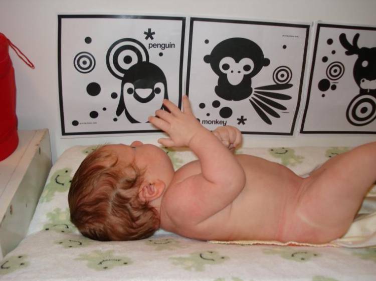 Черно белые рисунки для новорожденных