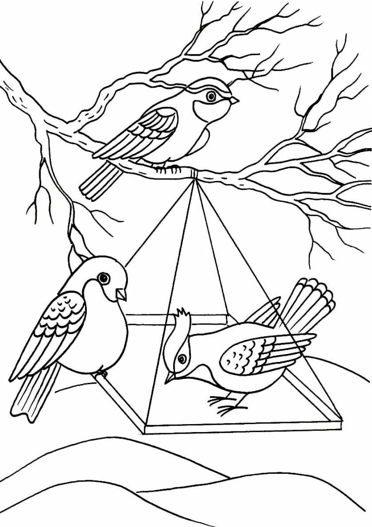 Раскраска «Птички в кормушке»