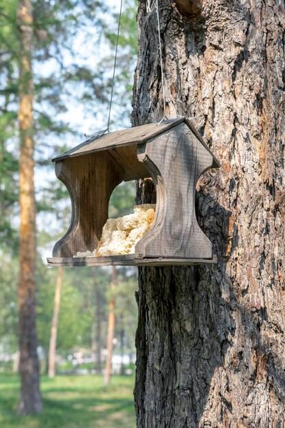 Ручная кормушка для диких птиц висит на стволе сосны в парке отдыха
