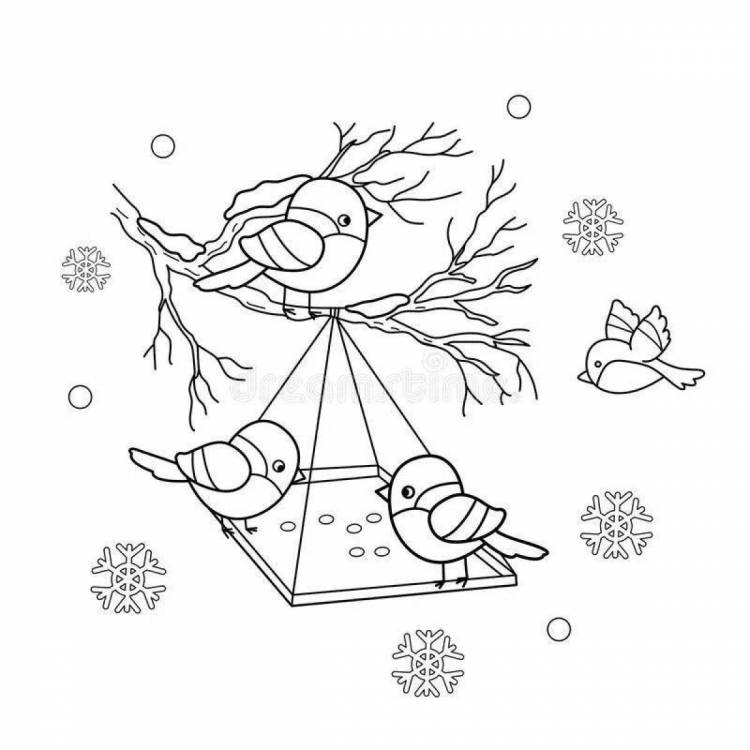 Раскраски Кормушка с птицами зимой для детей 