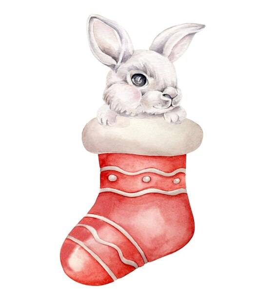 Кролик в новогоднем носке