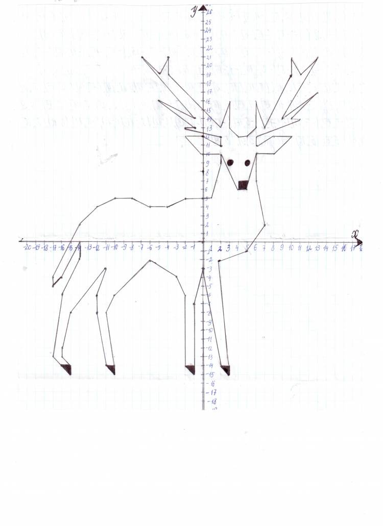 Рисунок по координатам Олень (выполнила Мария Волкова, ученица