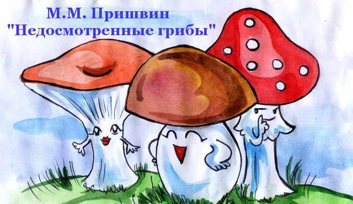 Недосмотренные грибы