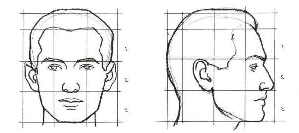 Как нарисовать нос человека поэтапно