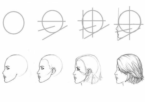 Как нарисовать в профиль голову