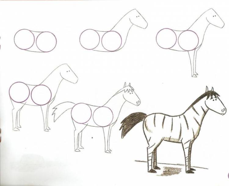 Как нарисовать животных поэтапно карандашом 