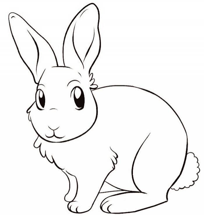 Рисунки зайца для срисовки 