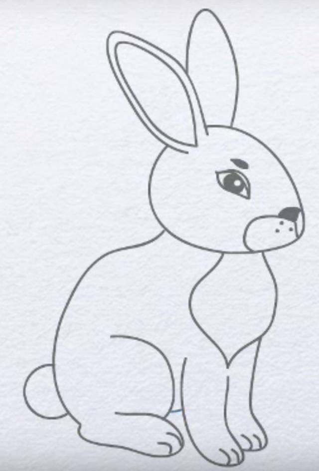 Рисунки зайца карандашом для детей 