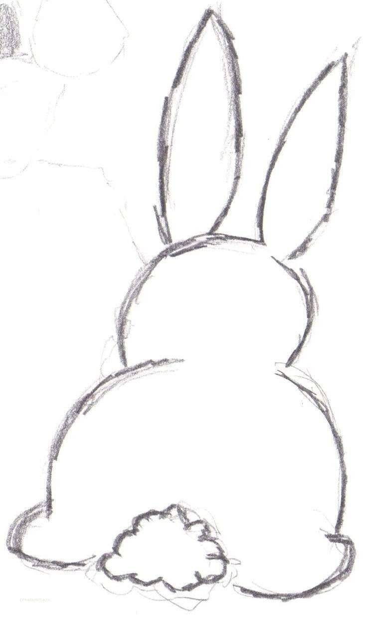 Легкий рисунок зайца для срисовки