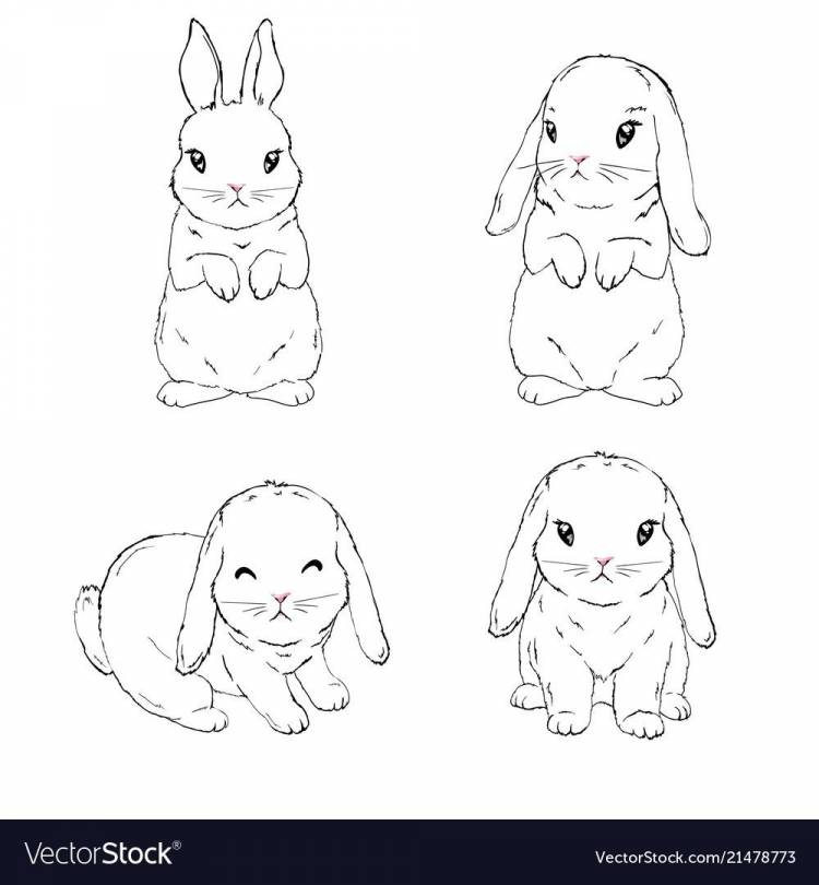Рисунок кролика карандашом для срисовки легкие