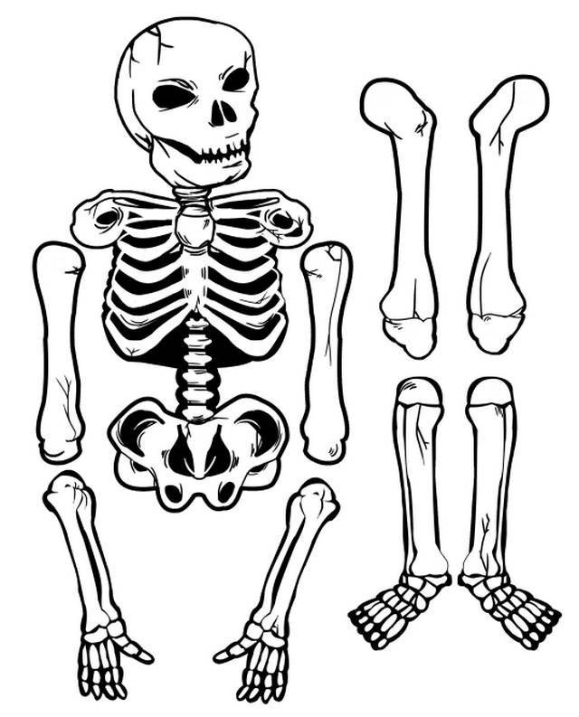 Костюм скелета своими руками на Хэллоуин, на Новый год, выкройки, фото