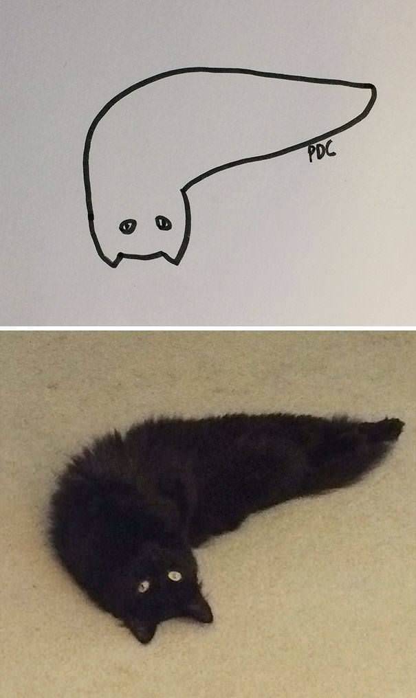 Плохо нарисованный кот part