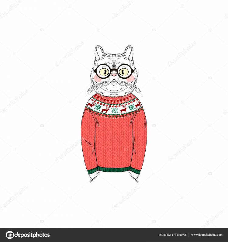 Кошка в смешном рождественском свитере Векторное изображение ©olga
