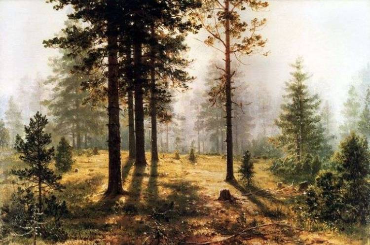 Описание картины «Туман в лесу»