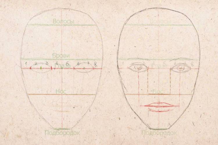 Как нарисовать лицо человека