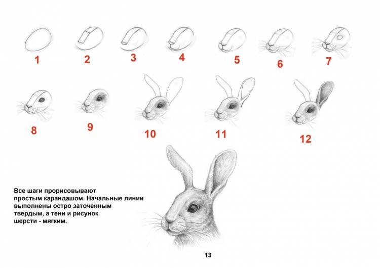 Заяц простой рисунок