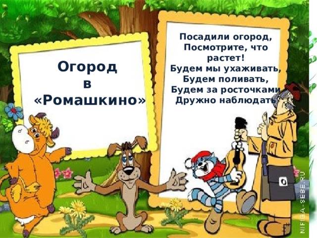 Огород на окне