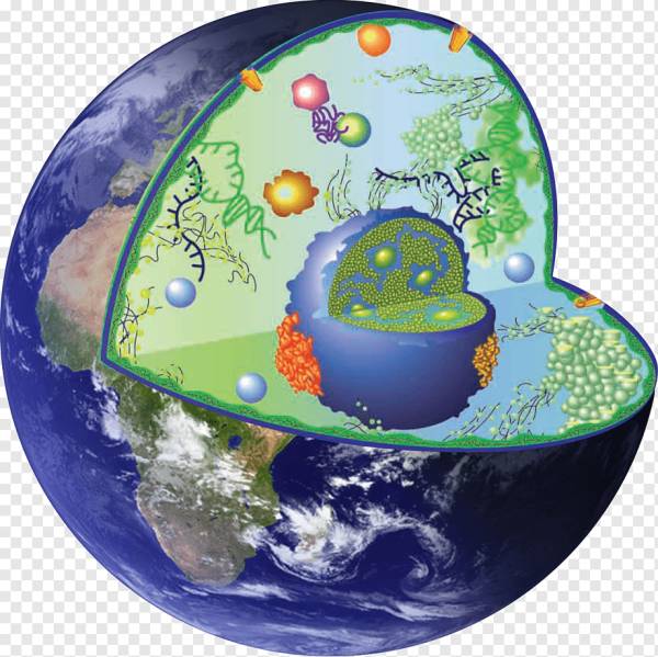 Картинки планета земля для детей 