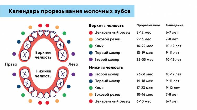 Зубы у детей