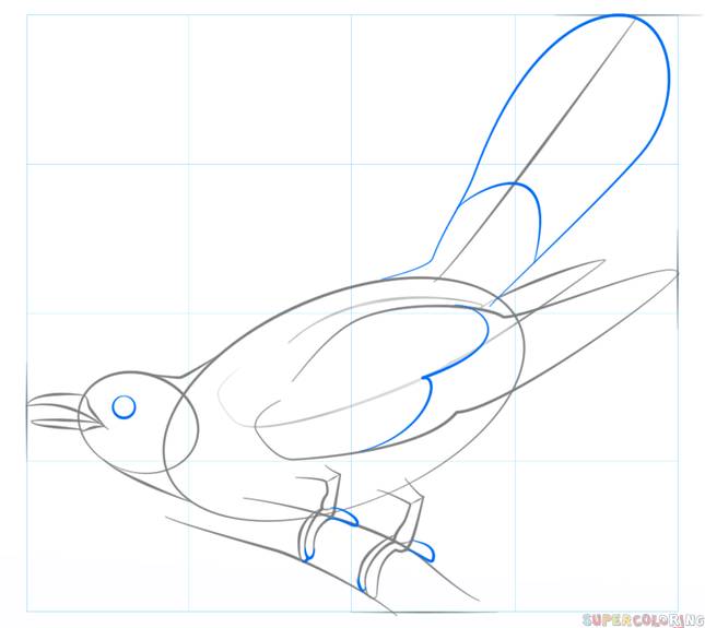 Как нарисовать кукушку