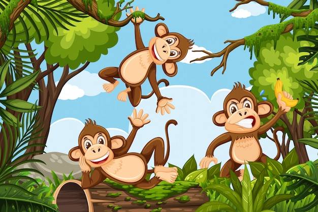 Веселые обезьяны в джунглях