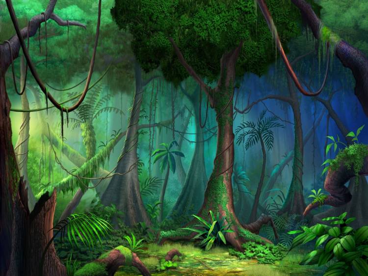 Джунгли лес