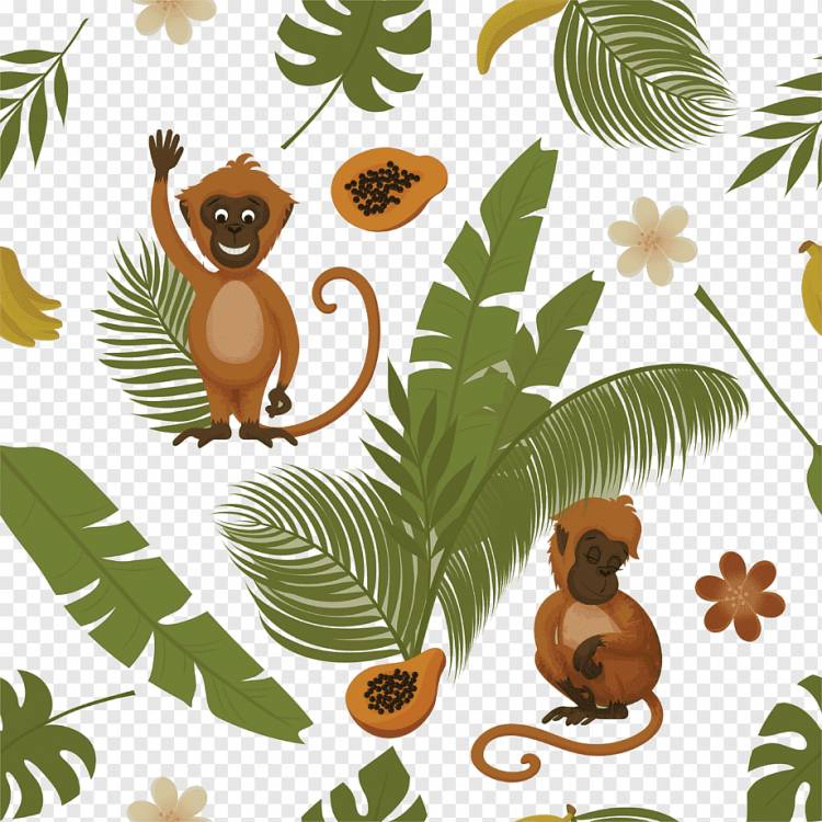 бесшовные модели листья джунглей и фрукты обезьяны, png