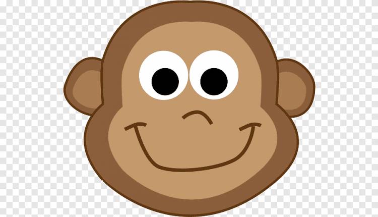 Обезьяна мультфильм рисунок, обезьяна, млекопитающее, лицо png