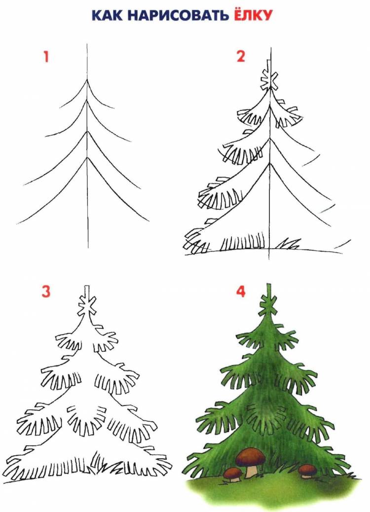 Поэтапное рисование елки для детей