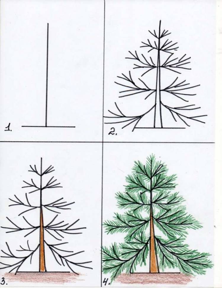 Рисунок ель для детей карандашом