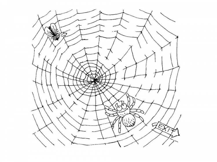 Раскраски Паутина скачать и распечатать бесплатно