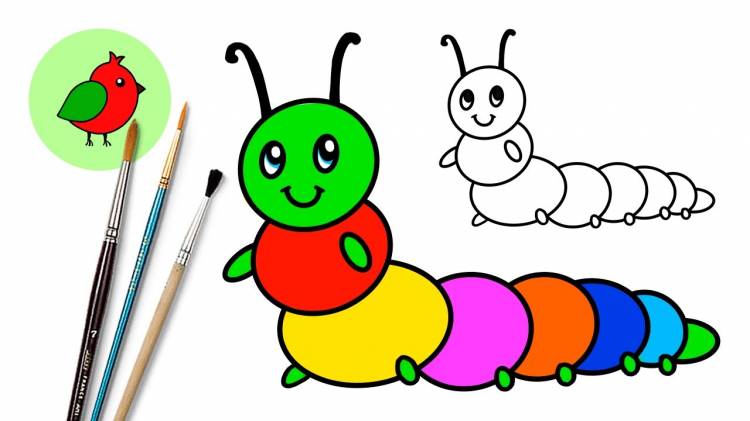 How to draw a caterpillar for children