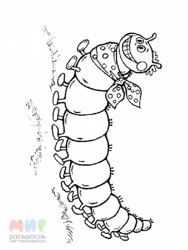 Раскраска Гусеница клубком тусуется