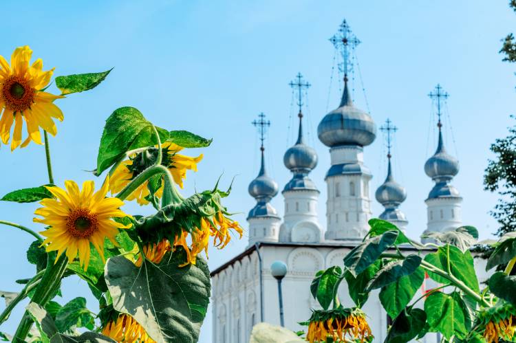 Шедевры древней Руси (златоглавый Суздаль