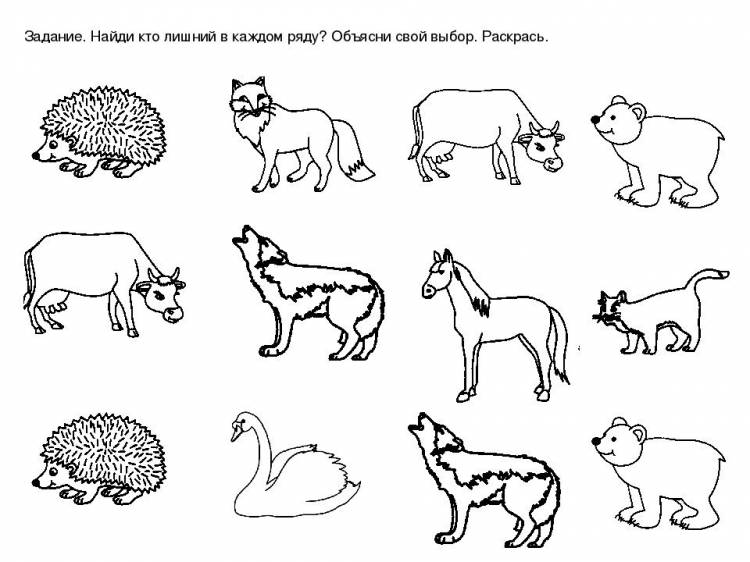 Картинки раскраски дикие и домашние животные для дошкольников 