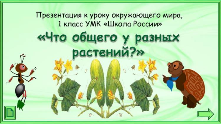 Презентация по окружающему миру на тему Что общего у разных растений 