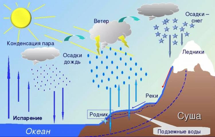 Круговорот воды в природе картинки